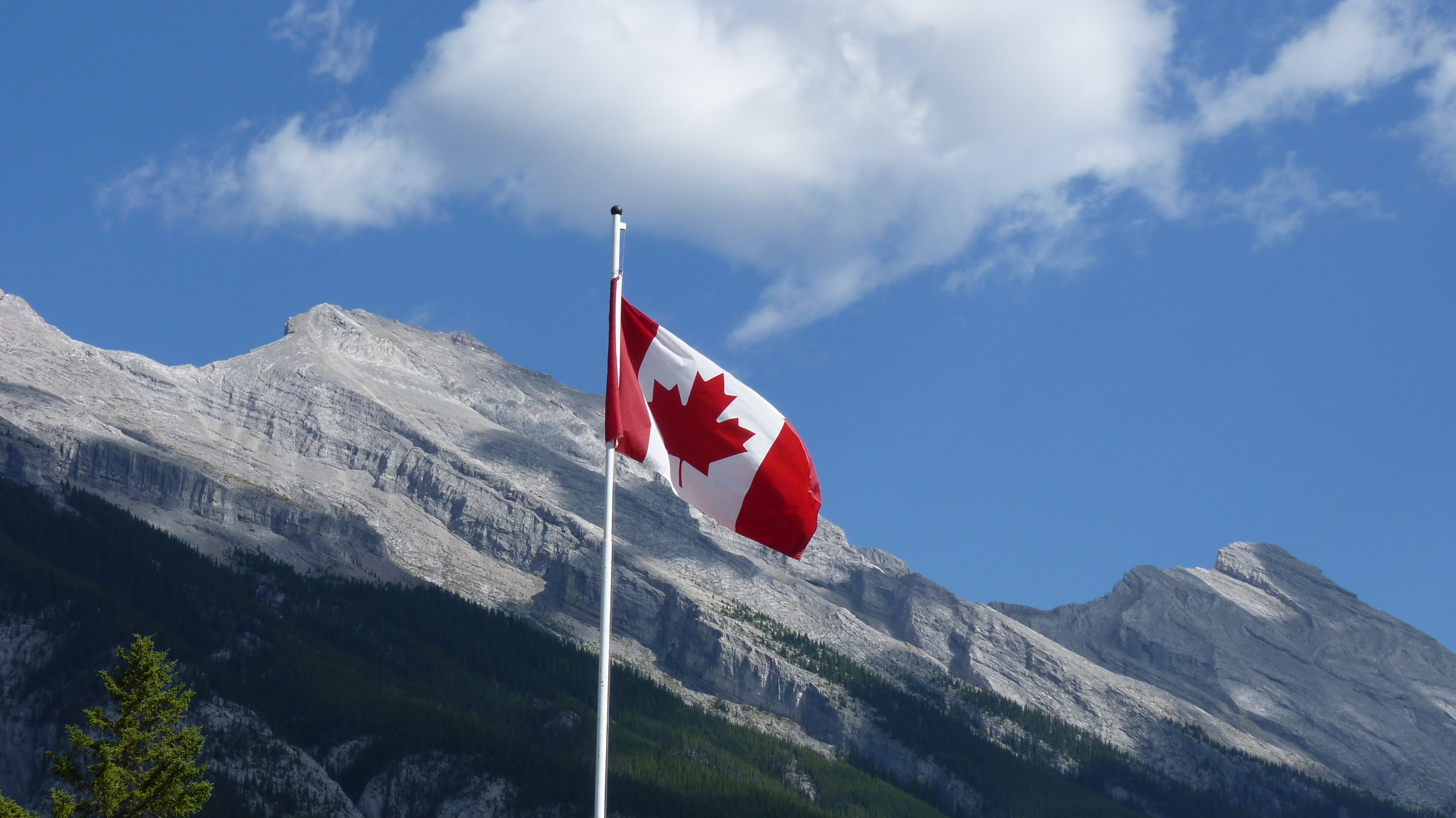 canada pivot to europe opens air cargo opportunities, exposing capacity gaps | the loadstar